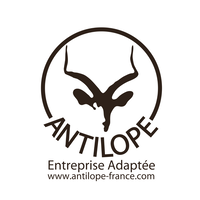 antilope